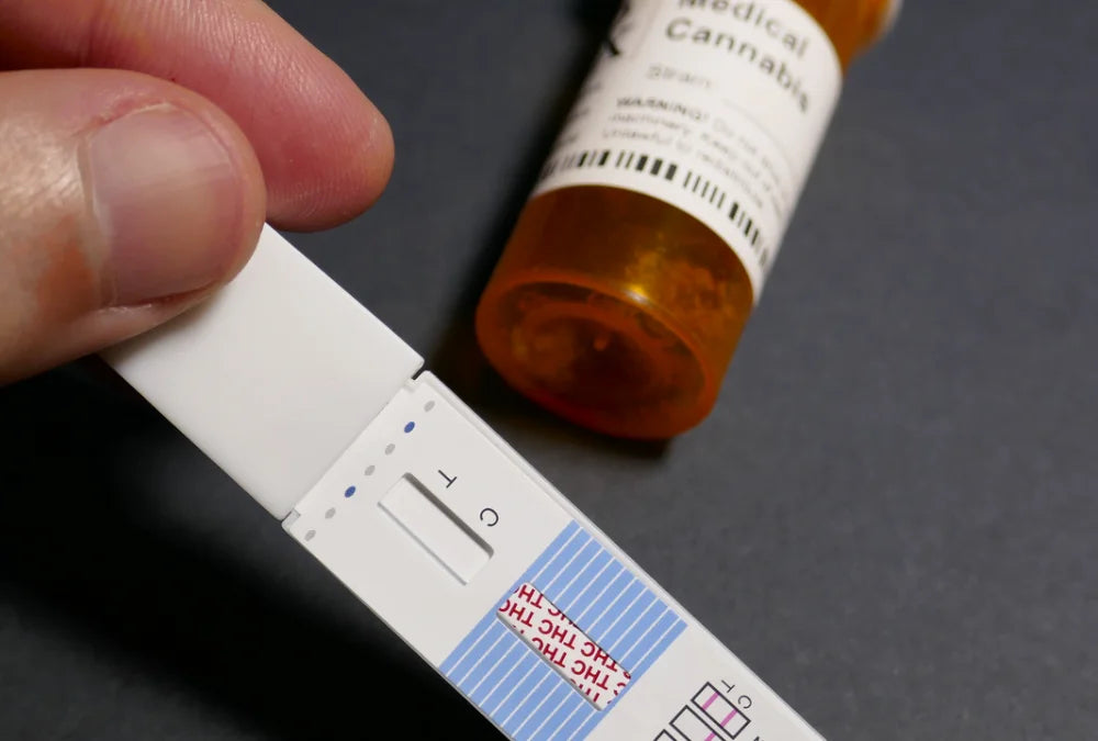 Le CBD au volant est désormais interdit par la Justice