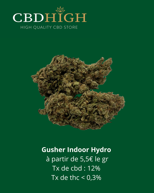 Gusher Hydro : à partir de 5,5€ le gramme