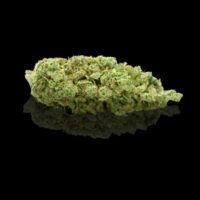 Sunset Sherbet à partir de 5€ le gr