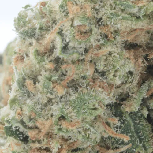 Amnésia Cali : à partir de 5€ le gramme