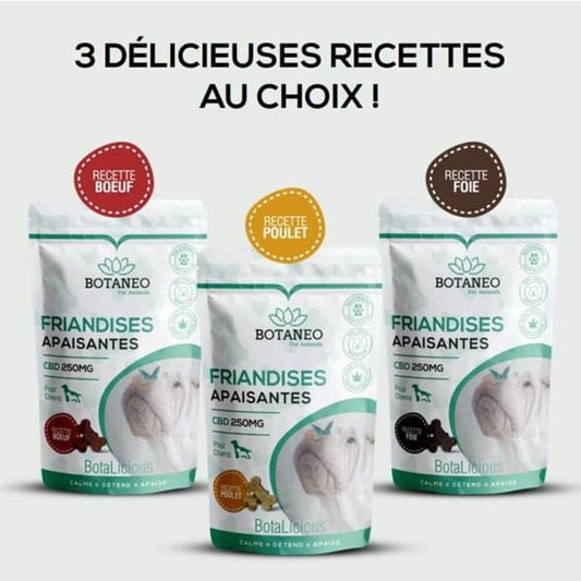 Friandises pour Chien