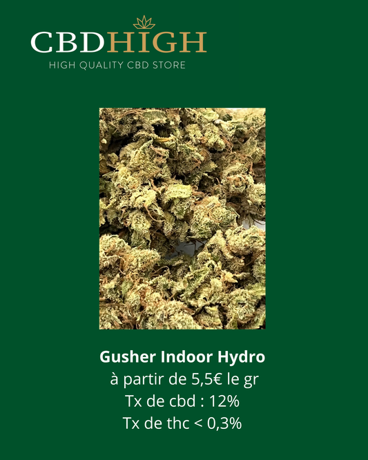 Gusher Hydro : à partir de 5,5€ le gramme