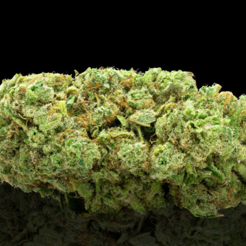 Sunset Sherbet à partir de 5€ le gr