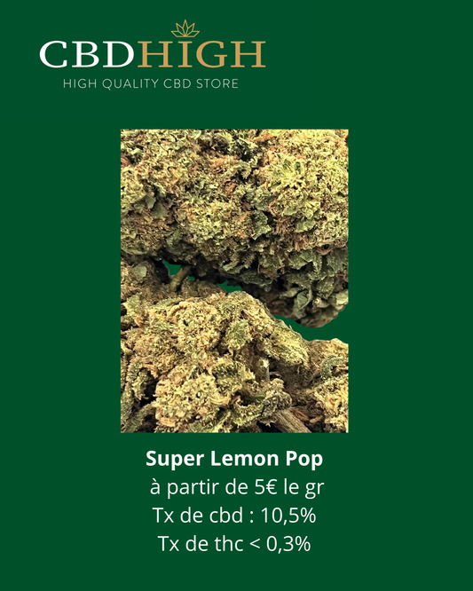 Super Lemon Pop GLH