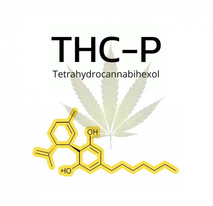 Introduction sur le THC-P